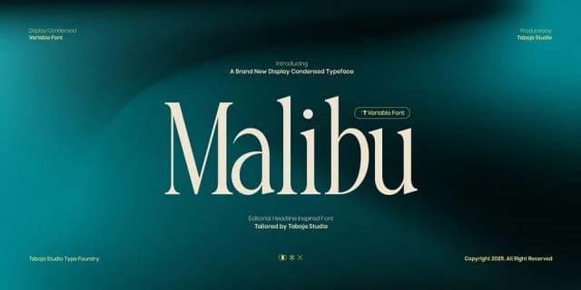 TBJ Malibu by Taboja Studio — Dingbats Font
