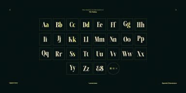 TBJ Malibu by Taboja Studio — Dingbats Font — thumbnail 2