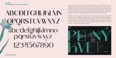 TBJ Milky by Taboja Studio — Decorative Font — thumbnail 8