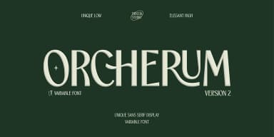 TBJ ORCHERUM by Taboja Studio — Dingbats Font — thumbnail 1