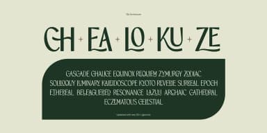 TBJ ORCHERUM by Taboja Studio — Dingbats Font — thumbnail 10