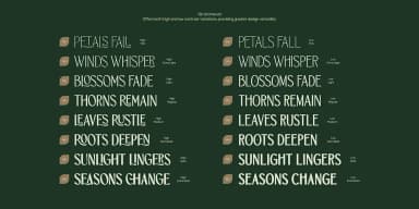 TBJ ORCHERUM by Taboja Studio — Dingbats Font — thumbnail 3