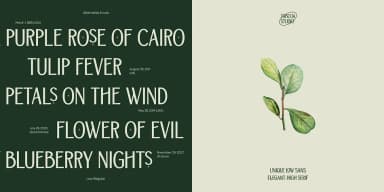 TBJ ORCHERUM by Taboja Studio — Dingbats Font — thumbnail 4