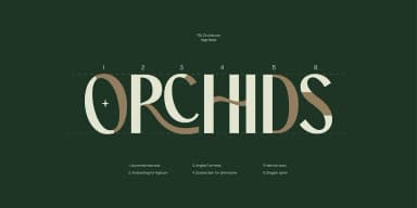 TBJ ORCHERUM by Taboja Studio — Dingbats Font — thumbnail 5