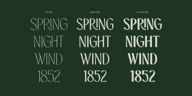 TBJ ORCHERUM by Taboja Studio — Dingbats Font — thumbnail 7