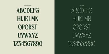 TBJ ORCHERUM by Taboja Studio — Dingbats Font — thumbnail 8