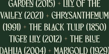 TBJ ORCHERUM by Taboja Studio — Dingbats Font — thumbnail 9