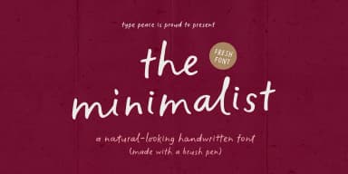 The Minimalist by type peace — Display Font — thumbnail 1