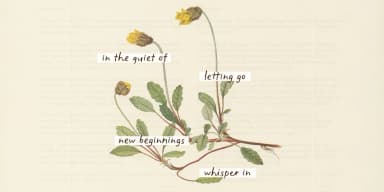 The Minimalist by type peace — Display Font — thumbnail 2