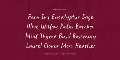 The Minimalist by type peace — Display Font — thumbnail 6