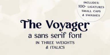 The Voyager by Ana's Fonts — Dingbats Font — thumbnail 1