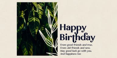 The Voyager by Ana's Fonts — Dingbats Font — thumbnail 5