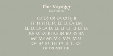 The Voyager by Ana's Fonts — Dingbats Font — thumbnail 6
