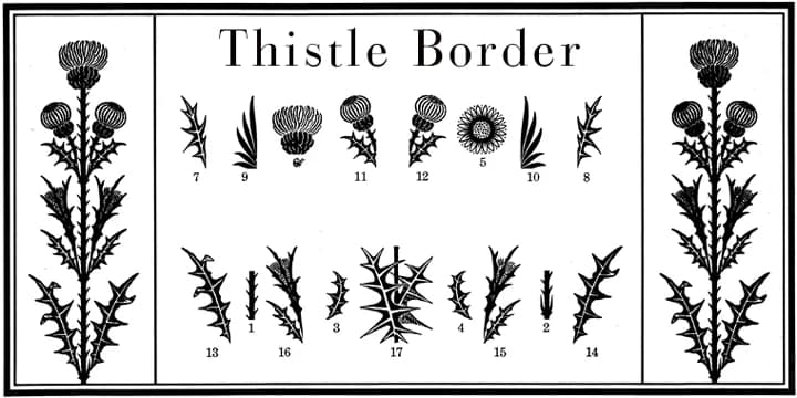 Thistle Borders by Wiescher-Design — Dingbats Font