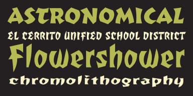 Totally Gothic by Emigre — Blackletter Font — thumbnail 4