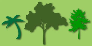 Tree Assortment by Gerald Gallo Fonts — Dingbats Font — thumbnail 1