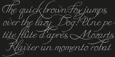 Triana by Wiescher-Design — Dingbats Font — thumbnail 6