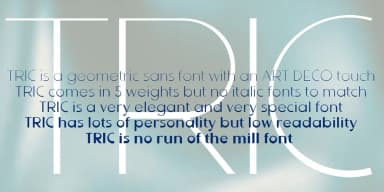 Tric by Wiescher-Design — Decorative Font — thumbnail 2