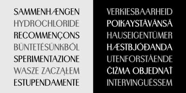 TRIO CT by CastleType — Decorative Font — thumbnail 8