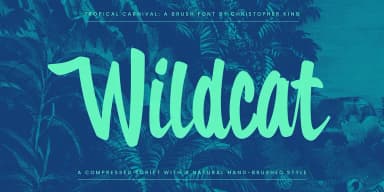 Tropical Carnival by Wingsart Studio — Display Font — thumbnail 10