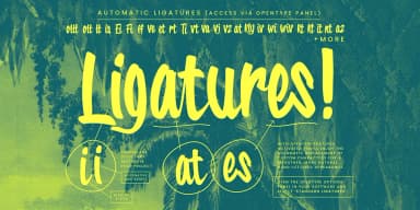 Tropical Carnival by Wingsart Studio — Display Font — thumbnail 3