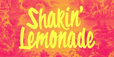 Tropical Carnival by Wingsart Studio — Display Font — thumbnail 4