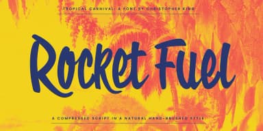 Tropical Carnival by Wingsart Studio — Display Font — thumbnail 7