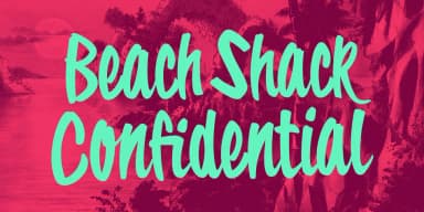 Tropical Carnival by Wingsart Studio — Display Font — thumbnail 8