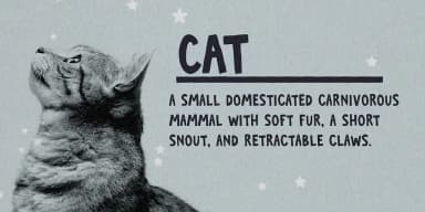 TROUBLE CHILD by Ana's Fonts — Dingbats Font — thumbnail 9