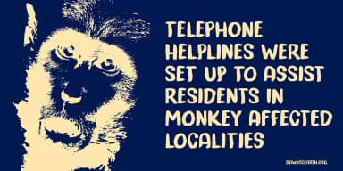 Trouble Monkey by Kitchen Table Type Foundry — Display Font — thumbnail 2