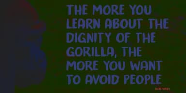 Trouble Monkey by Kitchen Table Type Foundry — Display Font — thumbnail 5
