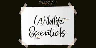 Twilight Stroke by Jolicia Type — Script Handwritten Font — thumbnail 8