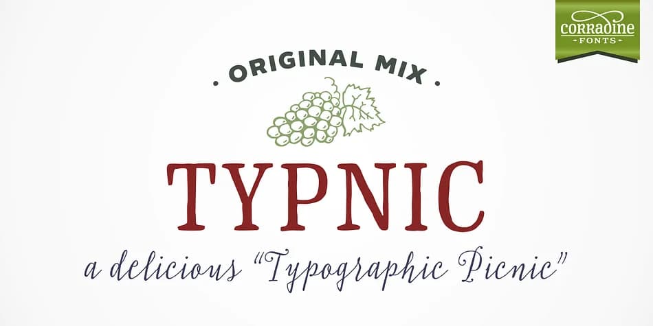 Typnic by Corradine Fonts — Dingbats Font
