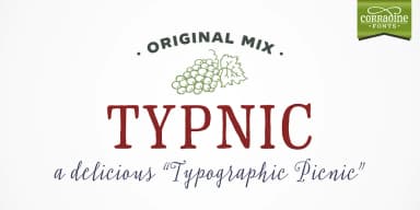 Typnic by Corradine Fonts — Dingbats Font — thumbnail 1
