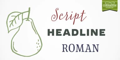 Typnic by Corradine Fonts — Dingbats Font — thumbnail 2