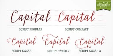 Typnic by Corradine Fonts — Dingbats Font — thumbnail 4