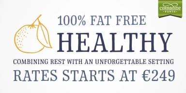 Typnic by Corradine Fonts — Dingbats Font — thumbnail 8