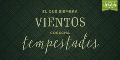 Typnic by Corradine Fonts — Dingbats Font — thumbnail 9