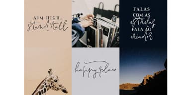 Unika by Ana's Fonts — Dingbats Font — thumbnail 8