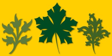 Victorian Ornaments by Gerald Gallo Fonts — Dingbats Font — thumbnail 2