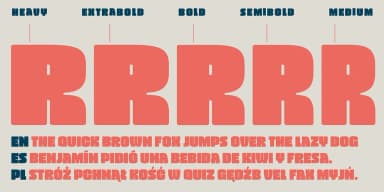 VIVALA BLACK by Johannes Hoffmann — Display Font — thumbnail 5