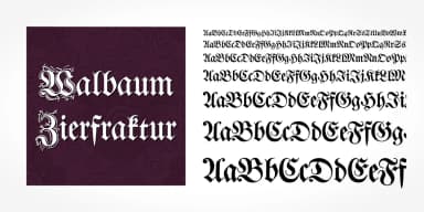 Walbaum Zierfraktur Pro by SoftMaker — Blackletter Font — thumbnail 5