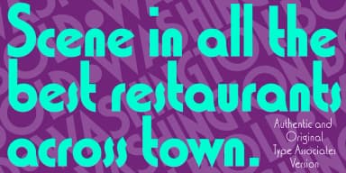 Washington by Type Associates — Decorative Font — thumbnail 3