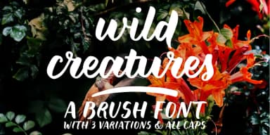 Wild Creatures by Ana's Fonts — Script Handwritten Font — thumbnail 1