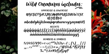 Wild Creatures by Ana's Fonts — Script Handwritten Font — thumbnail 2