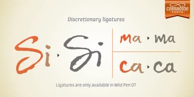 Wild Pen OT by Corradine Fonts — Display Font — thumbnail 6