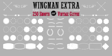 Wingman by Fontforecast — Script Handwritten Font — thumbnail 10