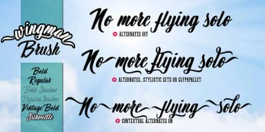 Wingman by Fontforecast — Script Handwritten Font — thumbnail 2