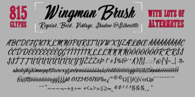 Wingman by Fontforecast — Script Handwritten Font — thumbnail 7