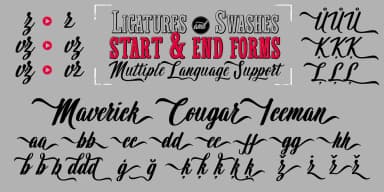 Wingman by Fontforecast — Script Handwritten Font — thumbnail 8